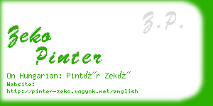 zeko pinter business card
